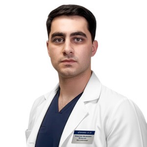 Демерчан Андроник Меликович