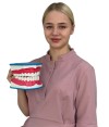 Шумейко Алина Виталльевна