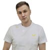 Крылов Павел Владимирович